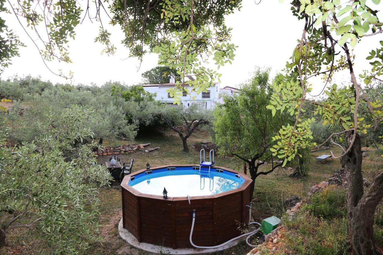 Yurta Mongola Delta Del Ebro Hotel Camarles ภายนอก รูปภาพ