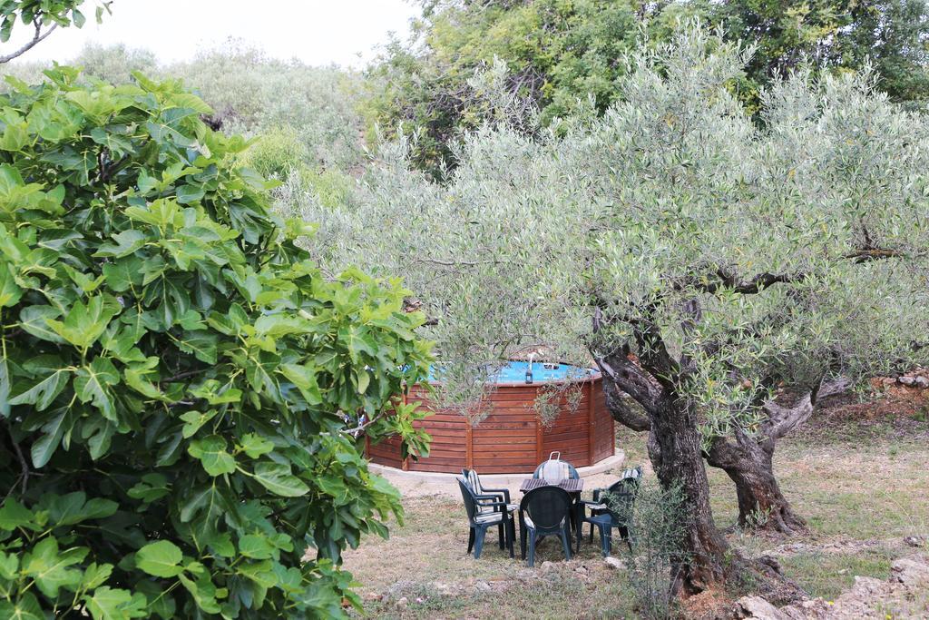 Yurta Mongola Delta Del Ebro Hotel Camarles ภายนอก รูปภาพ