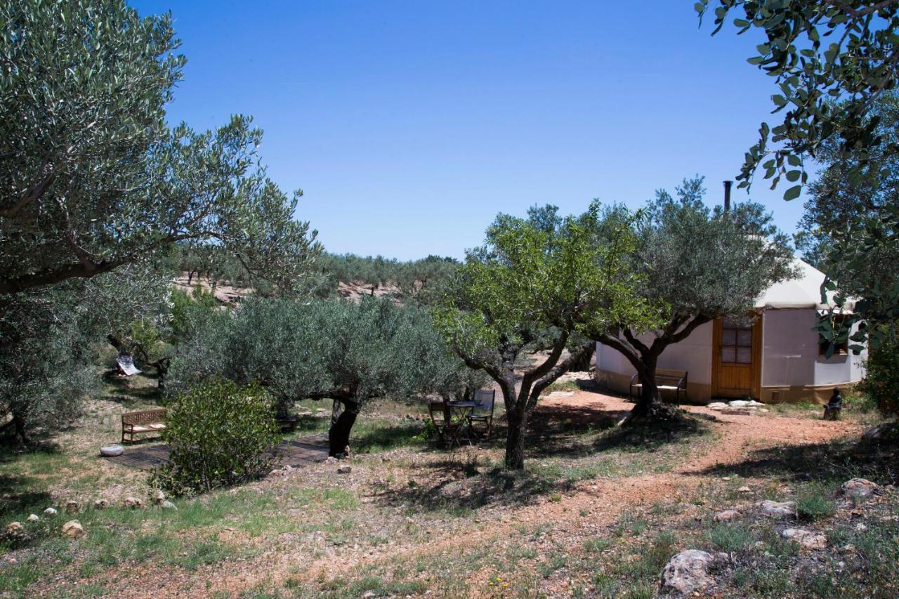 Yurta Mongola Delta Del Ebro Hotel Camarles ภายนอก รูปภาพ